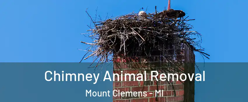 Chimney Animal Removal Mount Clemens - MI