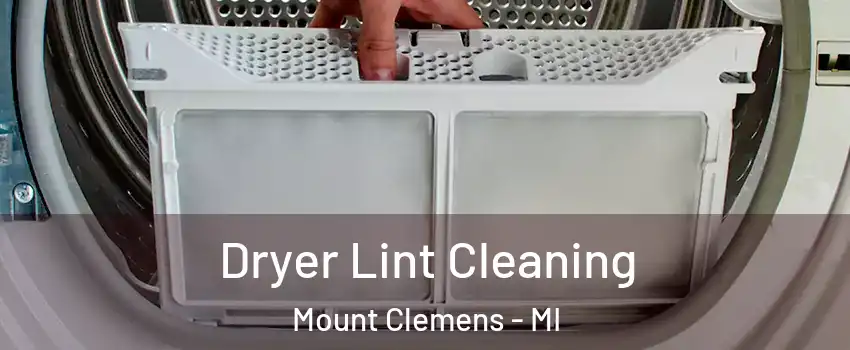  Dryer Lint Cleaning Mount Clemens - MI